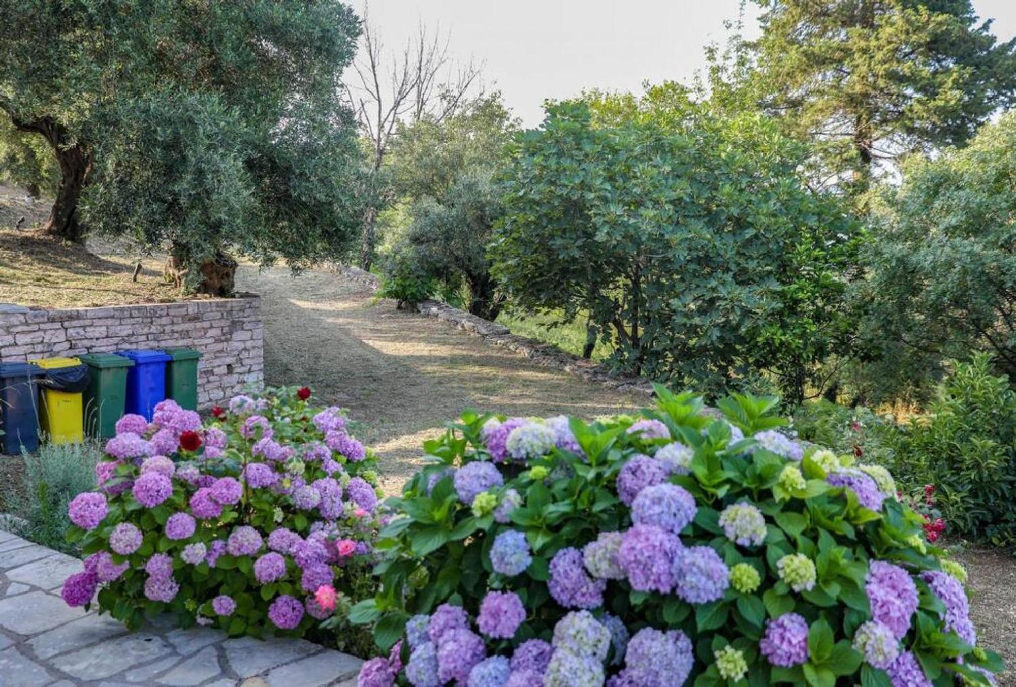 Sinies Stone Cottage - Ne Corfu Agnítsini Exterior photo